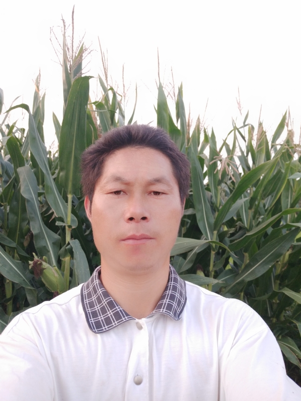 四海游龙的第二张照片--南昌相亲服务中心