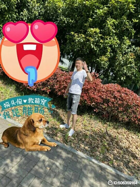 我若不坚强谁替我勇敢的第一张照片--南昌相亲服务中心