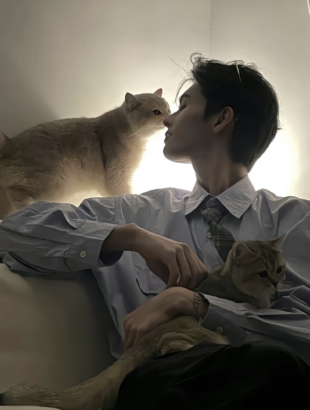 怪猫的第一张照片--南昌相亲服务中心