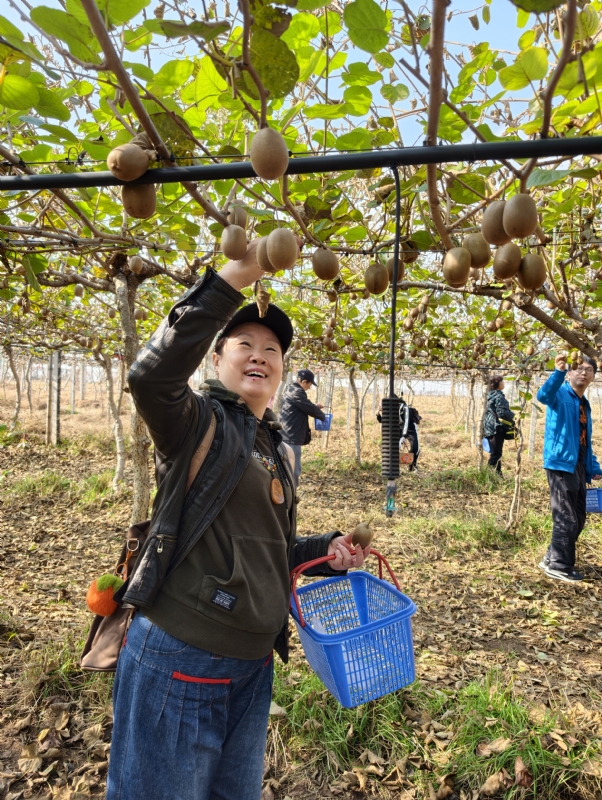 夜莺的第三张照片--南昌相亲服务中心